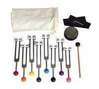 Reinscer Juego de diapasones de curación de chakras, diapasones con activador de diapasón para curar, terapia de sonido, cuidado personal