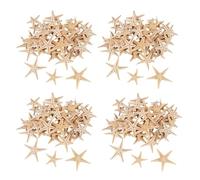 Reinscer Pequeña estrella de mar mar concha playa 0,4-1,2 360 piezas