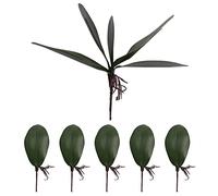 Reinscer Phalaenopsis - Hojas de orquídeas con diseño de raíces de látex, color verde, 6 unidades