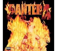 Reinventing The Steel [Vinilo]