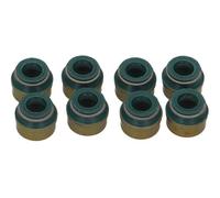 Reinz Kit de juntas para vástago de válvula 12-26058-02 para Volkswagen Polo, Golf, Passat, Jetta