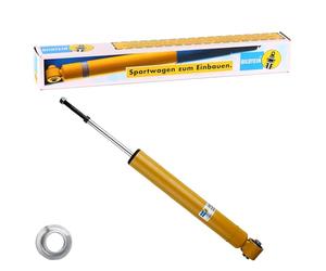 Reinz 24-060493 amortiguador