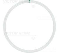 REINZ Junta, camisa del cilindro para VOLKSWAGEN: Transporter (Ref: 61-25315-10)