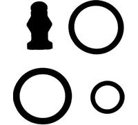 REINZ Kit de reparación, unidad bomba-inyector para SKODA: Superb, Octavia & AUDI: A3, A6, A4 & VOLKSWAGEN: Golf, Touran, Jetta (Ref: 15-38642-02)