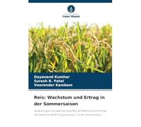 Reis: Wachstum und Ertrag in der Sommersaison