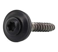 Reisser-Schraubentechnik 02417/4 RAL7016 - Tornillo de donación (4,5 x 65 TX20, acero inoxidable A2, cabeza revestida, contenido: 200 unidades)