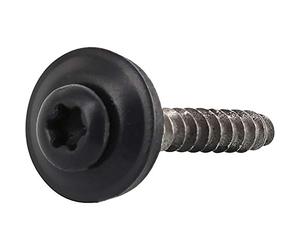 Reisser-Schraubentechnik 09398/9 RAL7016 - Tornillo de donación (4,5 x 80 TX20, acero inoxidable A2, cabeza revestida, contenido: 200 unidades)