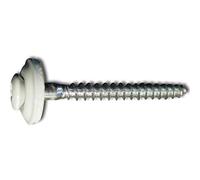 Reisser-Schraubentechnik 09414/6 RAL9002 - Tornillo de donación (4,5 x 65 TX20, acero inoxidable A2, cabeza revestida, contenido: 200 unidades)