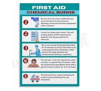 REIUAFWYGV First Aid Chemical Burns Poster Canvas Wall-Art Emergency Burn for Living Room Bedroom Decor(Unframed,16x24inch(40x60cm))