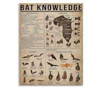 REIUAFWYGV Nocturnal Animals Poster Vintage Bat Species Chart Canvas Wall-Art for Biology Classroom or Gothic Decor(Framed,08x12inch(20x30cm))