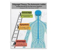 REIUAFWYGV Polyvagal Theory Poster Vagus Nerve Nervous System Regulation Educational Canvas Living Room Bedroom Wall-Art Decor(Unframed,08x12inch(20x30cm))
