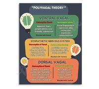 REIUAFWYGV Polyvagal Theory Poster Vagus Nerve Nervous System Regulation Educational Canvas Living Room Bedroom Wall-Art Decor(Framed,12x18inch(30x45cm))