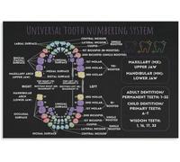 REIUAFWYGV Teeth Numbering System Chart Poster Tooth Numbers Canvas Wall-Art for Hygienist Office Patient Education Decor(Unframed,08x12inch(20x30cm))