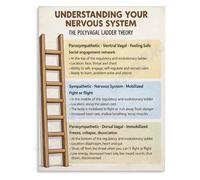 REIUAFWYGV Understanding Your Nervous System Poster Brain Spinal Cord Anatomy Function Educational Canvas Living Room Bedroom Wall-Art Decor(Framed,16x24inch(40x60cm))
