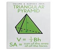 REIUAFWYGV Volume Area Triangular Pyramid Formulas Math Geometry Educational Canvas Print Wall-Art for Home Office Decor(Framed,16x24inch(40x60cm))