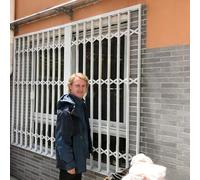 Rejas de Seguridad Extensibles para Ventanas del hogar, mosquiteras Ajustables para Ventanas correderas horizontales, topes de Seguridad para Interior y Exterior (55 x 60 cm)