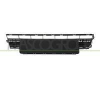 REJILLA CENTRAL PARACHOQUES DELANTERO-NEGRO T6.1 BERLINAS/CARABELLAS - Mod. 0...