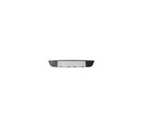 Rejilla central parachoques delantero para Ford Fiesta 2006 en adelante