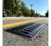 Rejilla de drenaje resistente para entradas de vehículos, cubierta de hierro dúctil para caminos, parques y campus de 50 x 30 x 5 cm, solución de drenaje duradera