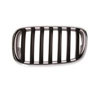 Rejilla del radiador izquierda cromo/negro 6502-07-0096991P BLIC para BMW X5 X6