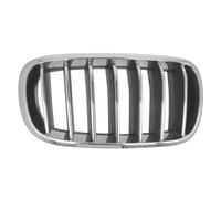 Rejilla de radiador BLIC 6502-07-00969944P derecha