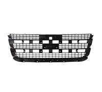 Rejilla de radiador BLIC 6502-07-2510990P