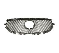 Rejilla de radiador BLIC 6502-07-3496991P