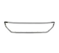 Rejilla de radiador - componentes BLIC 6502-07-5511995P