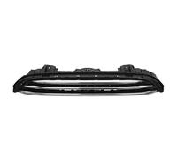 Rejilla De Radiador Placa Matrícula Parachoques Delantero Panel Embellecedor Rejilla Central Delantera Para Mini Para Cooper F55 F56 F57 Para JCW 2014-2018 Parrilla Frontal(Middle Grille)