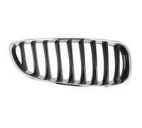 Rejilla del radiador Delante, derecha cromo 6502-07-0089996P BLIC para BMW