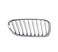 Rejilla del radiador Delante, derecha gris 6502-07-0089994P BLIC para BMW