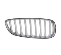 Rejilla del radiador Delante, derecha titanio 6502-07-0089998P BLIC para BMW