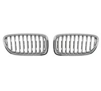 Rejilla del radiador Delante, izquierda 6502-07-0067997BP BLIC para BMW 5