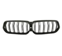 Rejilla del radiador Delante, izquierda 6502-07-0078917P BLIC para BMW