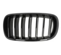 Rejilla del radiador Delante, izquierda 6502-07-00969977P BLIC para BMW X5 X6