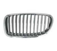 Rejilla del radiador derecha plata 6502-07-0067996P BLIC para BMW 5 5 Touring