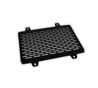 Rejilla del radiador G 310 R 2016-25 Negro, Abajo Delante