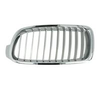 Rejilla del radiador izquierda titanio 6502-07-0063993P BLIC para BMW 3
