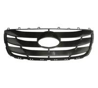 Rejilla del radiador negro 6502-07-3181991P BLIC para HYUNDAI SANTA FÉ II
