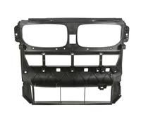 Rejilla Frontal Parachoques BLIC Para BMW X5 E70 X6 E71 02.07-06.1