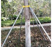 Rejilla Ventilacion Postes De Soporte Para Árboles Frutales, Kit De Estacas Con Fijador, De Estacas Para Árboles De 10 A 40 Cm De Diámetro, Protección Para Árboles(B-6ft,Dia15cm/5.9'')
