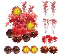 REJOECE Flores Secas, Flores Secas Manualidades,Naturales Flores Prensadas Secas, Flor Prensada Mezclada para Velas de Bricolaje, Resina, bisutería, Scrapbooking, Manualidades y Decoraciones