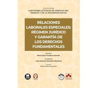 Relaciones laborales especiales: régimen jurídico y garantía de los derechos fundamentales: COLECCIÓN «CUESTIONES ACTUALES DE DERECHO DEL TRABAJO Y DE LA SEGURIDAD SOCIAL» (monografico)