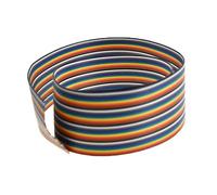 RELAND SUN 1 metro 10P/12P/14P/16P/20P/26P/34P/40P/50P 1.27mm PITCH Color plano Cable arco iris para conector FC (10P)