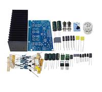 Reland Sun Placa de Amplificador de Tubo de Vacío HIFI, Válvula Electrónica 6J1+LM1875, AC18V Kit de Bricolaje y Producto Terminado