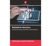 Relatório técnico:: Instituto de Ciências Económicas e Administrativas