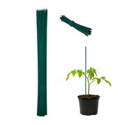 Relaxdays 100x Estaca verde para plantas 60 cm verde oscuro