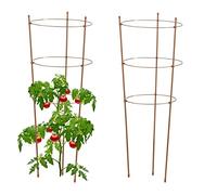 Relaxdays 76cm Set 2 Jaulas Planta Trepadora, Tutor Cultivo 3 Anillos, Soporte Flores, Cañas Metal y Plástico, Marrón