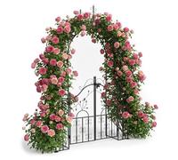 Relaxdays Arco negro rosas con puerta negro