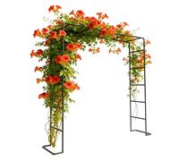 Relaxdays Arco para Rosas de Metal, 220 x 200 x 38 cm, Arco de jardín, Resistente para Plantas trepadoras, Negro